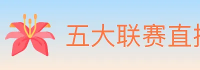 五大联赛直播 logo